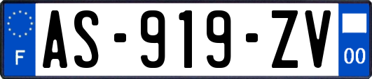 AS-919-ZV