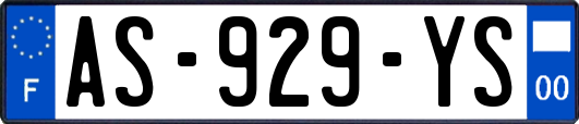 AS-929-YS
