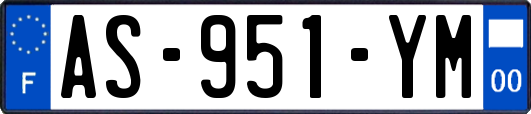 AS-951-YM