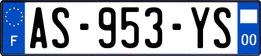 AS-953-YS