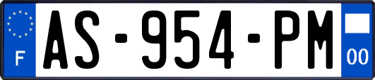 AS-954-PM