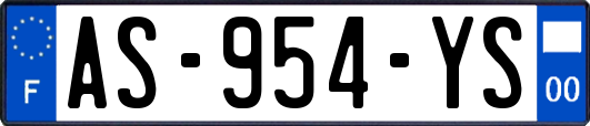 AS-954-YS