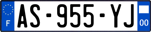 AS-955-YJ