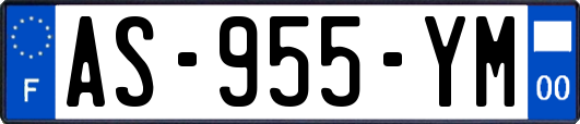 AS-955-YM