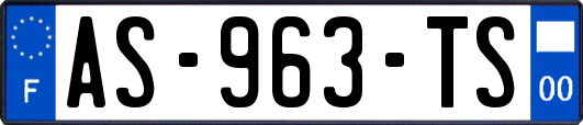 AS-963-TS