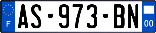 AS-973-BN