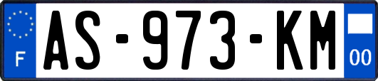 AS-973-KM