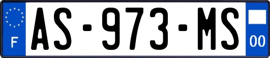 AS-973-MS