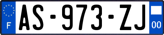 AS-973-ZJ