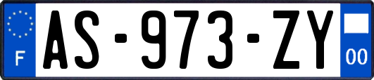 AS-973-ZY