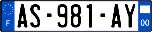 AS-981-AY