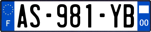 AS-981-YB