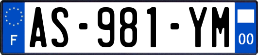 AS-981-YM