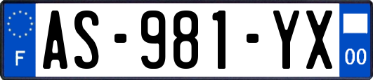 AS-981-YX
