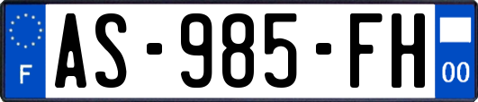 AS-985-FH