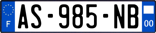 AS-985-NB