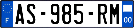 AS-985-RM