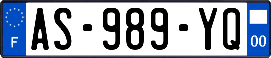 AS-989-YQ