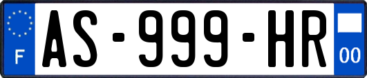 AS-999-HR