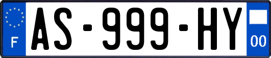 AS-999-HY
