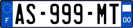 AS-999-MT