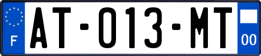 AT-013-MT