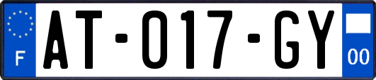 AT-017-GY