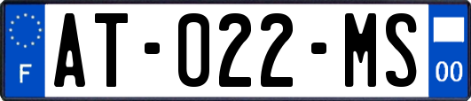 AT-022-MS