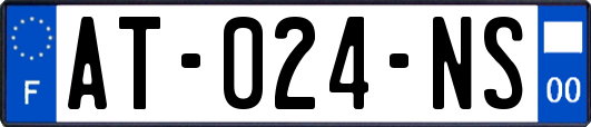 AT-024-NS