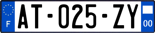 AT-025-ZY