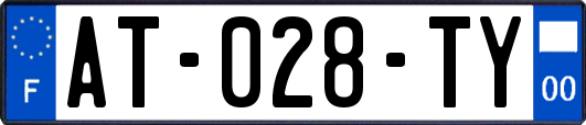 AT-028-TY