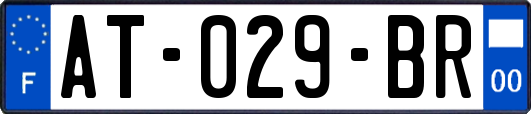 AT-029-BR
