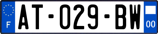 AT-029-BW