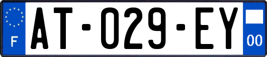 AT-029-EY