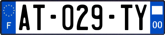 AT-029-TY