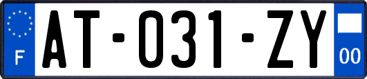 AT-031-ZY