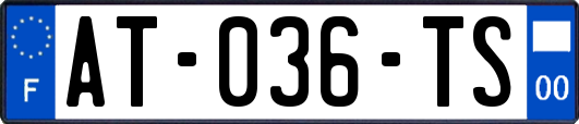 AT-036-TS