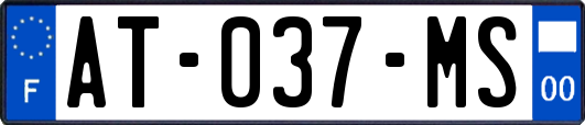 AT-037-MS