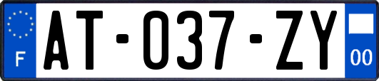 AT-037-ZY