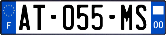 AT-055-MS