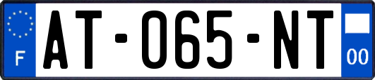 AT-065-NT