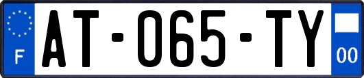 AT-065-TY