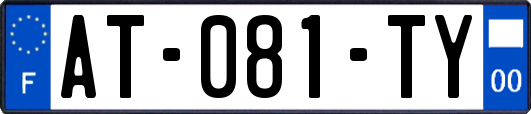 AT-081-TY