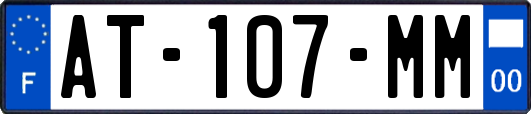 AT-107-MM