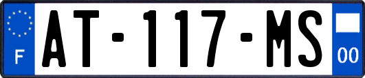 AT-117-MS