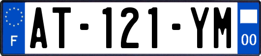 AT-121-YM