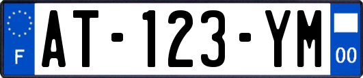 AT-123-YM