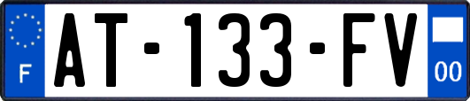 AT-133-FV