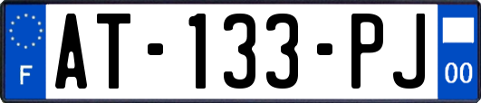 AT-133-PJ