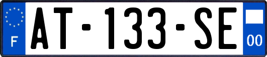 AT-133-SE